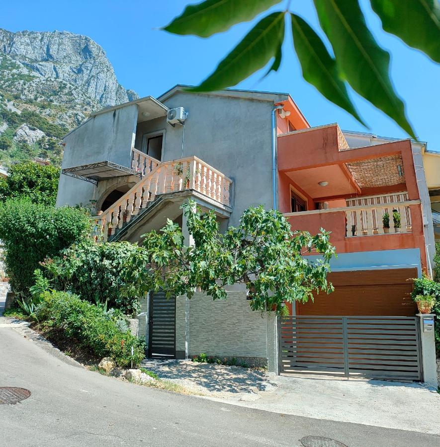Studio Apartman Rea Kotor Dış mekan fotoğraf