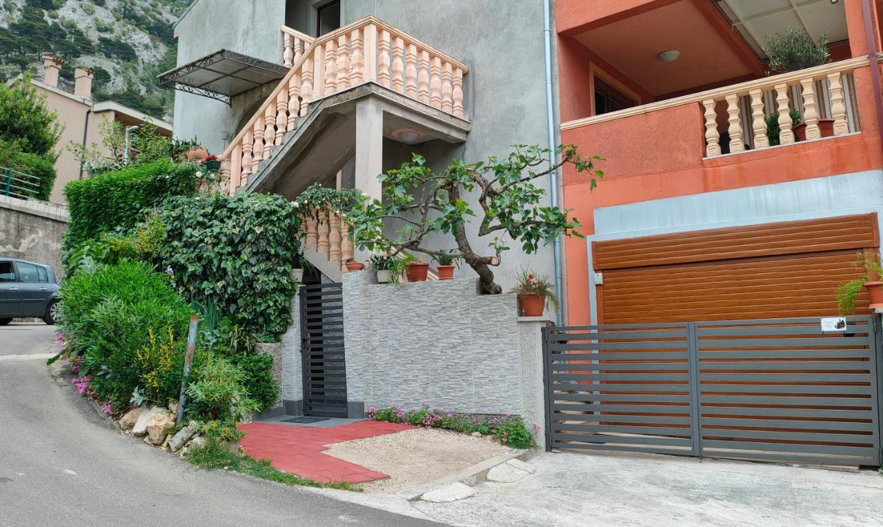Studio Apartman Rea Kotor Dış mekan fotoğraf